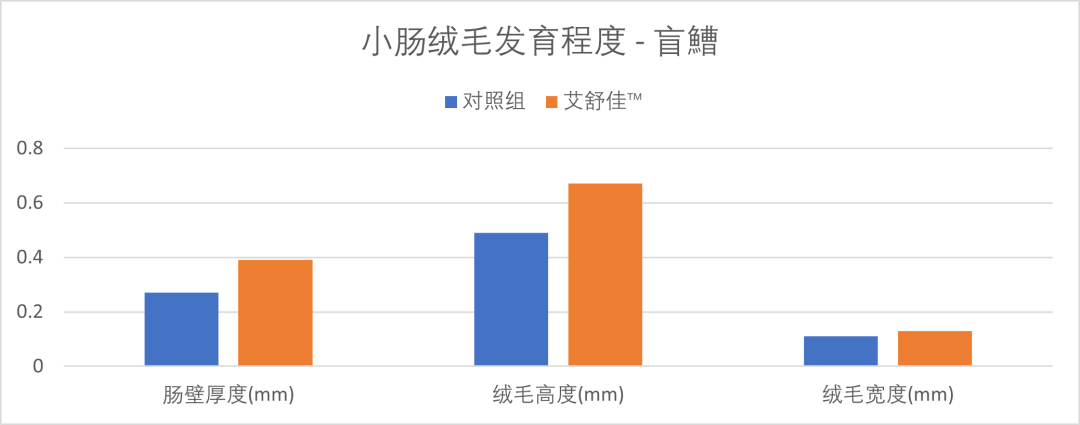 加州鲈鱼养殖