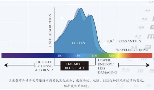 玉米黄质的功效