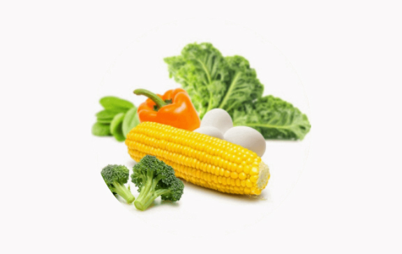 叶黄素和玉米黄质的作用