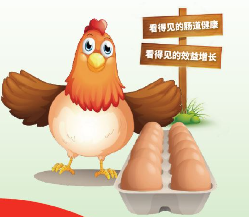 蛋鸡饲料添加剂